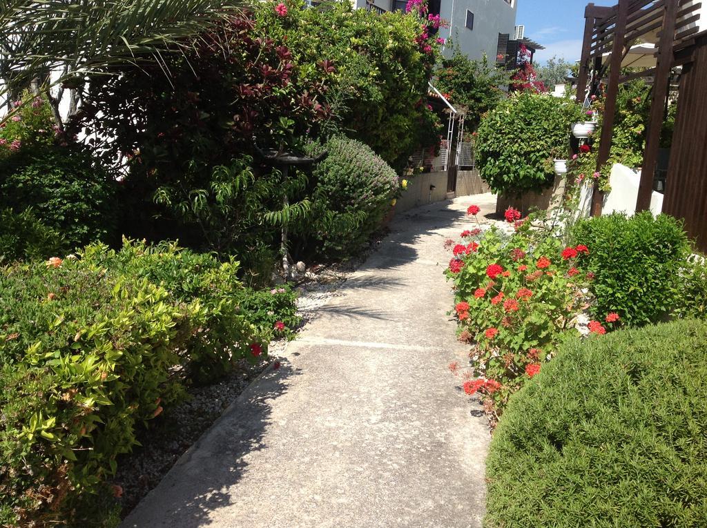 Paphos Townhouse Villa Kültér fotó